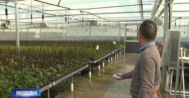 开启!创意好物热销pg试玩马年备货(图2) 开启!创意好物热销pg试玩马年备货(图2)